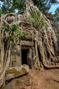 Angkor Wat Cambodia. Ta Prohm Khmer ancient Buddhist temple. Royalty Free Stock Photo