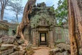 Angkor Wat Cambodia. Ta Prohm Khmer ancient Buddhist temple. Royalty Free Stock Photo