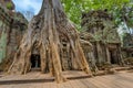 Angkor Wat Cambodia. Ta Prohm Khmer ancient Buddhist temple. Royalty Free Stock Photo