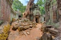 Angkor Wat Cambodia. Ta Prohm Khmer ancient Buddhist temple. Royalty Free Stock Photo