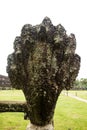 Angkor Wat complex temple in Cambodia. Naga detail