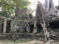 Angkor Wat in Siem Reap, Cambodia. Ancient ruins of Khmer stone temple overgrown with the roots and giant strangler fig trees Royalty Free Stock Photo