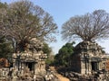 Angkor Wat in Siem Reap, Cambodia. Ancient ruins of Khmer stone temple overgrown with the roots and giant strangler fig trees Royalty Free Stock Photo