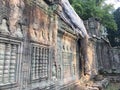 Angkor Wat in Siem Reap, Cambodia. Ancient ruins of Khmer stone temple overgrown with the roots and giant strangler fig trees Royalty Free Stock Photo