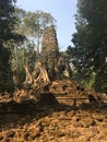 Angkor Wat in Siem Reap, Cambodia. Ancient ruins of Preah Palilay Khmer stone temple overgrown with the roots and giant trees Royalty Free Stock Photo