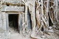 Angkor wat temple near siem reap cambodia