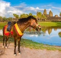 Angkor Wat temple at sunset. Siem Reap. Cambodia Royalty Free Stock Photo