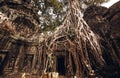 Angkor Wat Temple Royalty Free Stock Photo