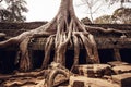 Angkor Wat Temple Royalty Free Stock Photo