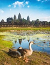 Angkor Wat temple at sunset. Siem Reap. Cambodia Royalty Free Stock Photo