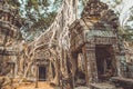 Angkor Wat Royalty Free Stock Photo