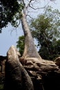 Angkor Wat