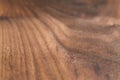 Angle closeup shot of black walnut wood surface