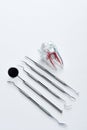Angle view of dental instruments tools and artificial plastic tooth on grey background