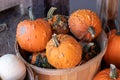 Angle View of Farmers Market Basket full of orange bumpy pumpkins