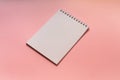 Angle view on blank notebook on pink background