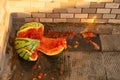 smashed watermelon on the ground at horizontal composition Royalty Free Stock Photo
