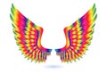 Realistic fantasy colorful angle wings isolated.