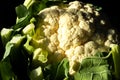 Angled Close-Up of Head of Cauliflower