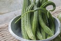 Angled Loofah Sponge gourd or Angled Gourd harvest.Smooth Loofah