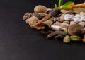 Angled macro shot of herbal tablets arranged with dry herbs and green plants on a black background. Herbal medicines concept Royalty Free Stock Photo