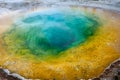 Angled view of Morninglory Hot Spring in Yellowstone Park Royalty Free Stock Photo