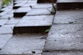 Angled Wet Stone Steps