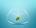 Anglefish jumping to Big bowl Royalty Free Stock Photo