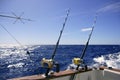 Angler boat big game fishing in saltwater Royalty Free Stock Photo