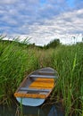 Angler boat in reeds