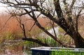 Angler boat at Lake Balaton