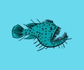 Angler Deep sea fish hand drawing. Vector illustration Royalty Free Stock Photo