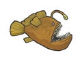 angler deep sea fish with light sketch vector Royalty Free Stock Photo