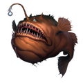 Angler fish on white background realistic illustration isolate. Royalty Free Stock Photo