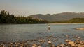 An angler fly fishing on the Skeena River at sunset in summer, Terrace Royalty Free Stock Photo