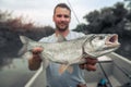 Angler holds big Asp fish Royalty Free Stock Photo