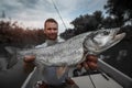 Angler holds big Asp fish Royalty Free Stock Photo