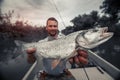 Angler holds big Asp fish Royalty Free Stock Photo