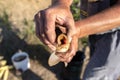 The angler holds the carp with an open mouth, visible fish whiskers and fins. Royalty Free Stock Photo