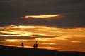 Anglers on Chesil Bank at sunset Royalty Free Stock Photo