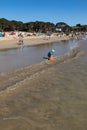 A crowded beach in summer as people enjoy swimming and playing in the ocean and sand Royalty Free Stock Photo