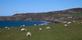 Anglesey Coastal Path Royalty Free Stock Photo