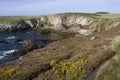 Anglesey Coastline Royalty Free Stock Photo