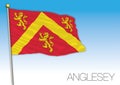 Anglesey flag, United Kingdom, vector illustration