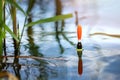 angling - fishing float in the pond water. catch the fish Royalty Free Stock Photo