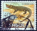 ANGOLA - CIRCA 1953: A stamp printed in Angola from the `Angolan fauna` issue shows a crocodile, circa 1953.