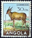 ANGOLA - CIRCA 1953: A stamp printed in Angola from the `Angolan fauna` issue shows a Taurotragus oryx, circa 1953.