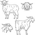 Angora and Cashmere goat line art set