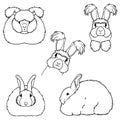 Angora rabbit line art bundle