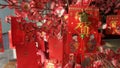 Angpau tree is a decoration ahead of Chinese New Year celebrations Royalty Free Stock Photo
